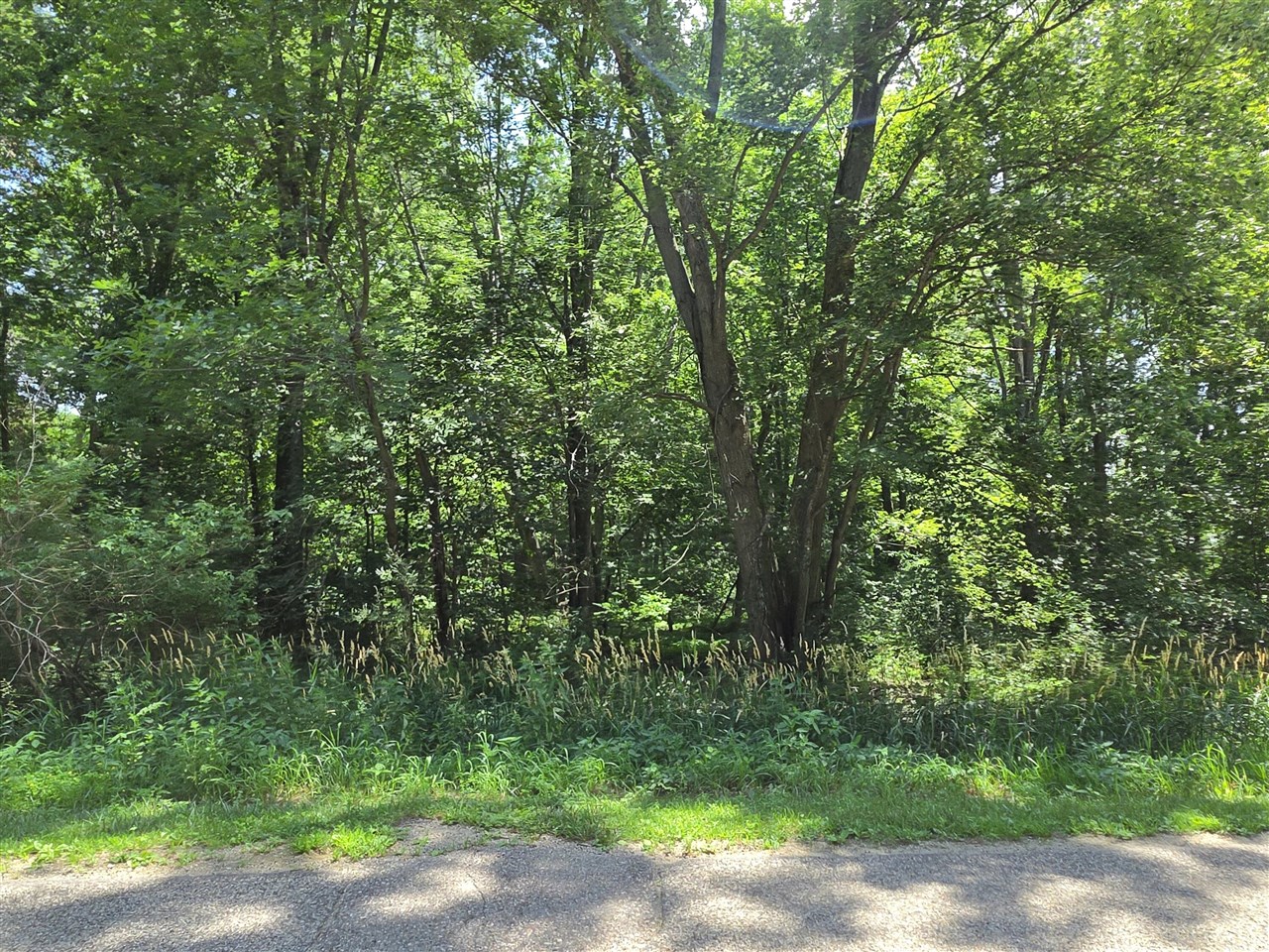 14667 Tripp Road Camden, MI 49232 - Photo 25 of 27