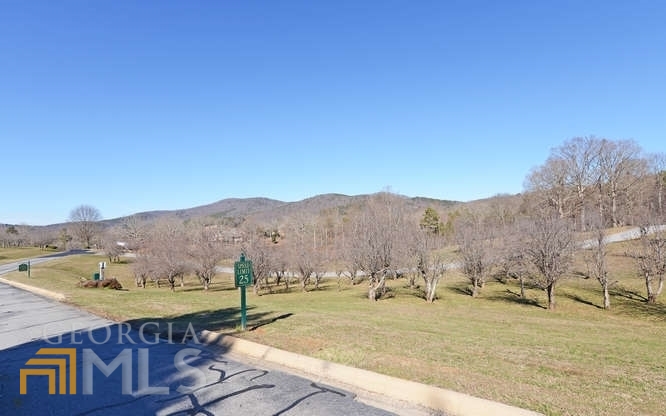 363 McIntosh Road, Unit 363 Clarkesville, GA 30523 - Photo 1 of 1 Gallery Image 1