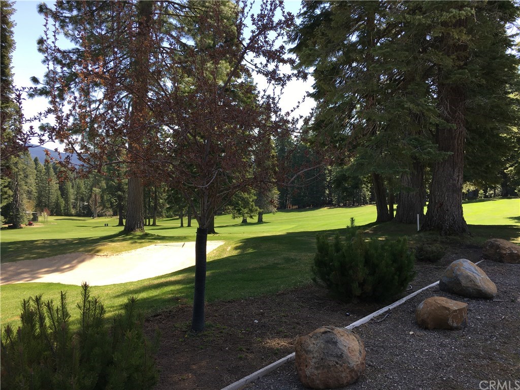 636 West Burnt Cedar Road Lake Almanor, CA 96137 - Photo 21 of 21