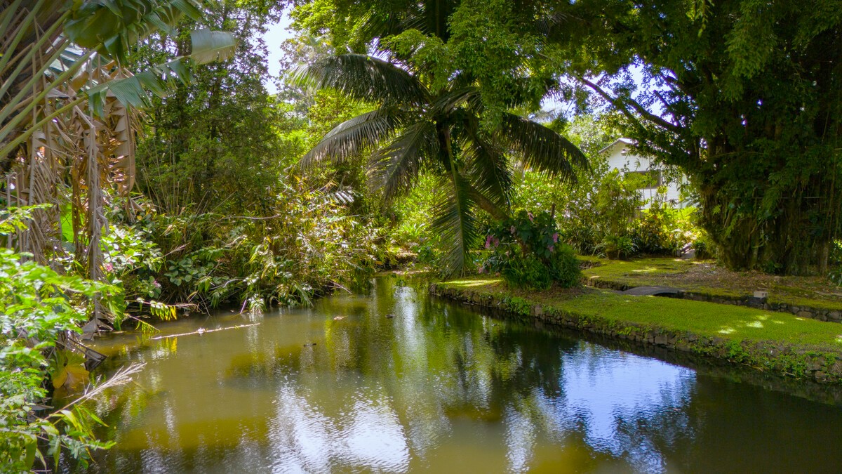 46 Kokea Street Hilo, HI 96720 - Photo 11 of 29 a view of a lake