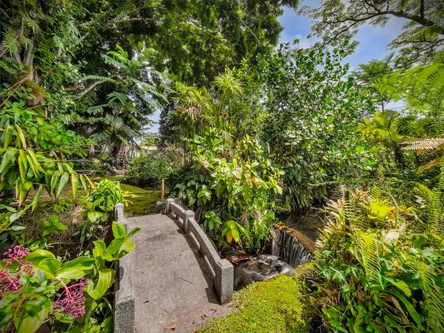 a view of a garden with plants