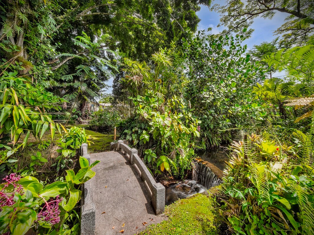 46 Kokea Street Hilo, HI 96720 - Photo 12 of 29 a view of a garden with plants