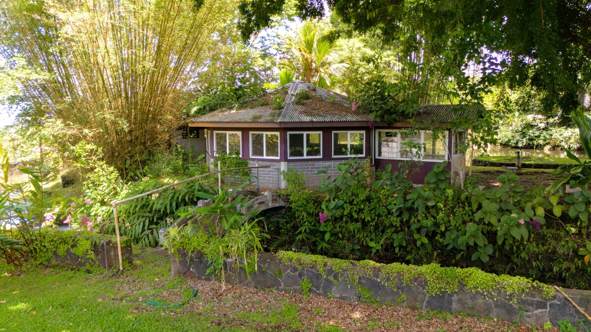 46 Kokea Street Hilo, HI 96720 - Photo 27 of 29 a house view with a garden space