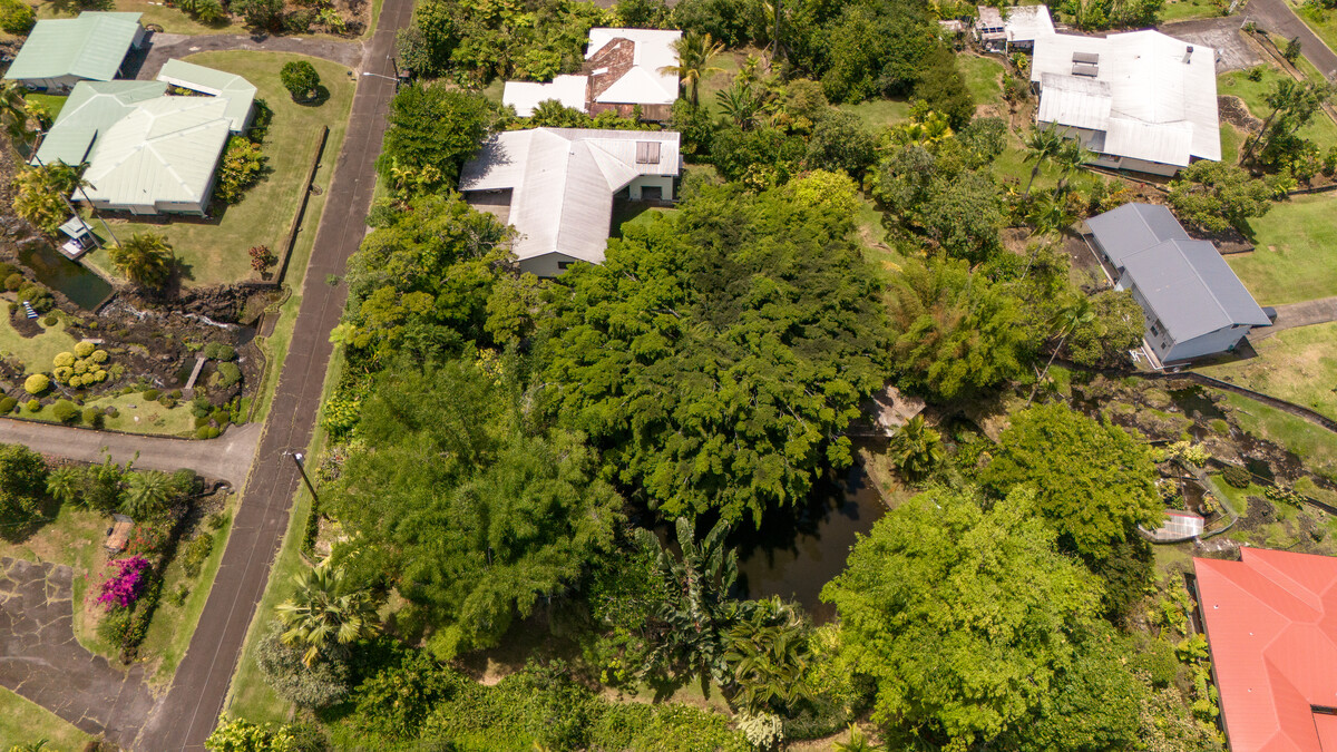 46 Kokea Street Hilo, HI 96720 - Photo 28 of 29 an aerial view of a house with a yard and garden
