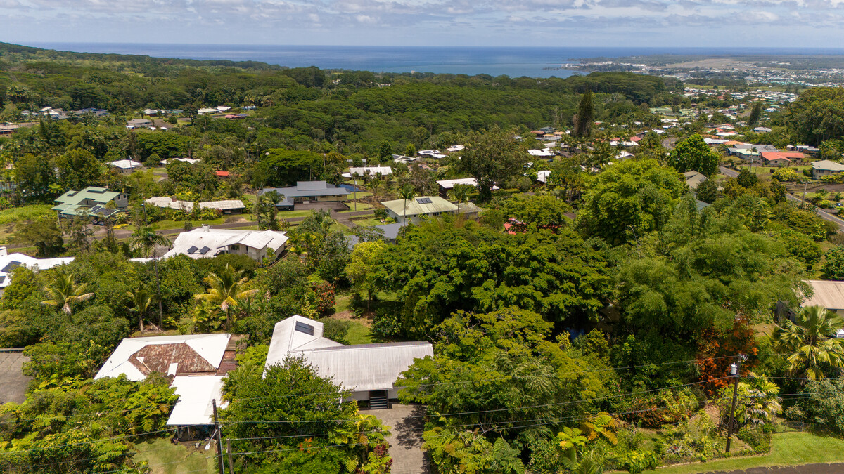 46 Kokea Street Hilo, HI 96720 - Photo 29 of 29 a view of a bunch of flowers