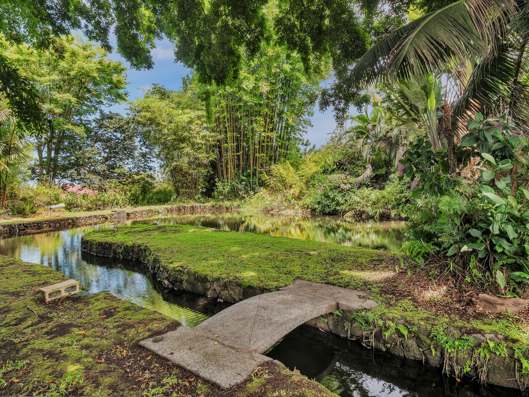46 Kokea Street Hilo, HI 96720 - Photo 8 of 29 a view of a garden with a lake