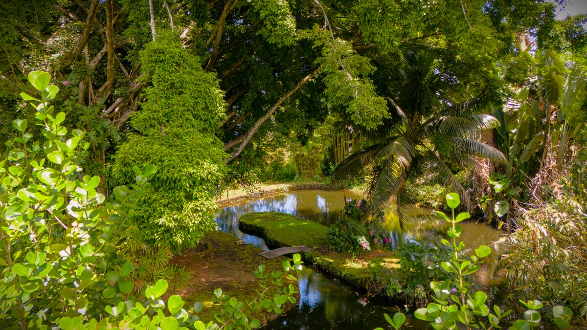 46 Kokea Street Hilo, HI 96720 - Photo 10 of 29 a backyard of a house with lots of green space
