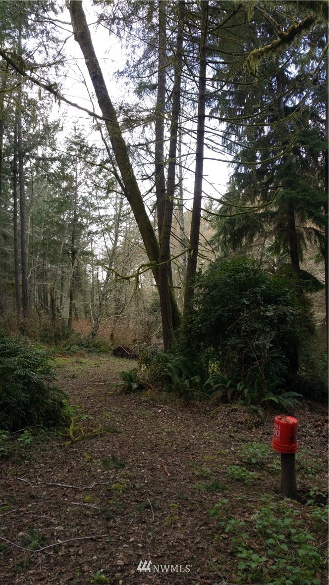 12801 Lovass Road, Unit AI Anderson Island, WA 98303 - Photo 1 of 11 Gallery Image 1