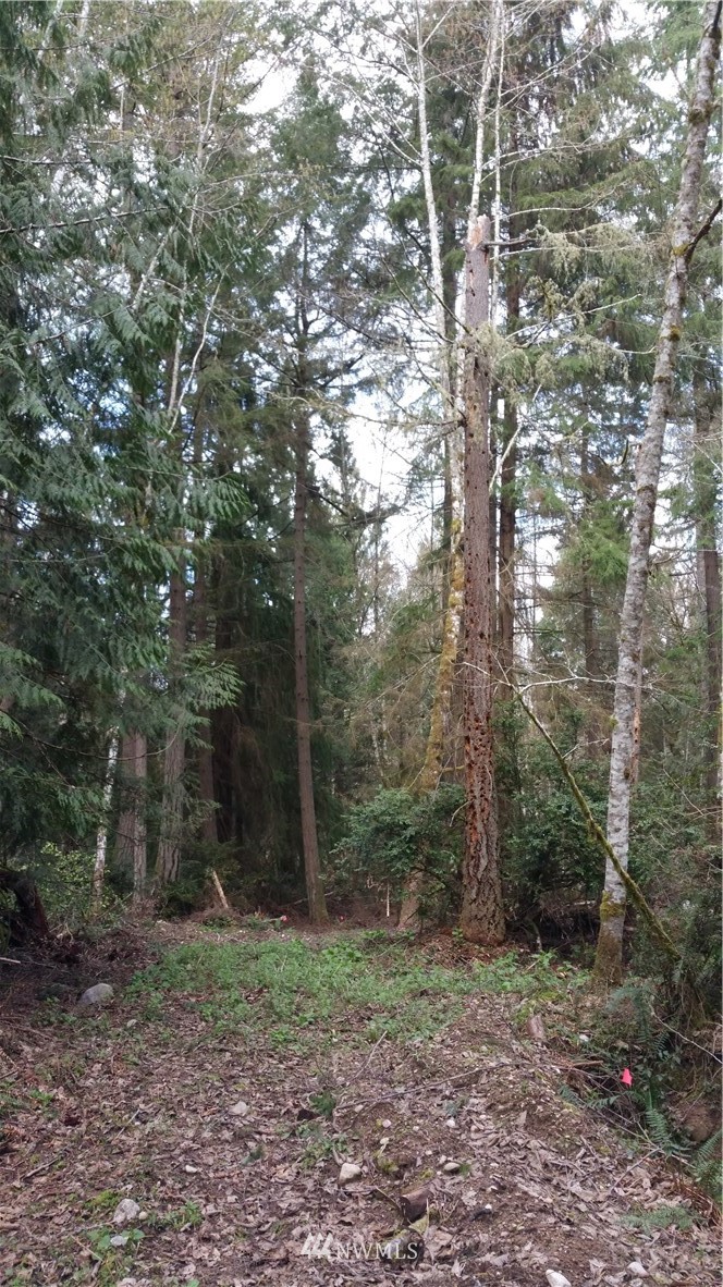 12801 Lovass Road, Unit AI Anderson Island, WA 98303 - Photo 4 of 11 Gallery Image 4