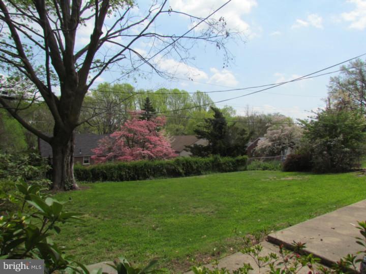 115 Johns Road Cheltenham, PA 19012 - Photo 22 of 24 Back Yard
