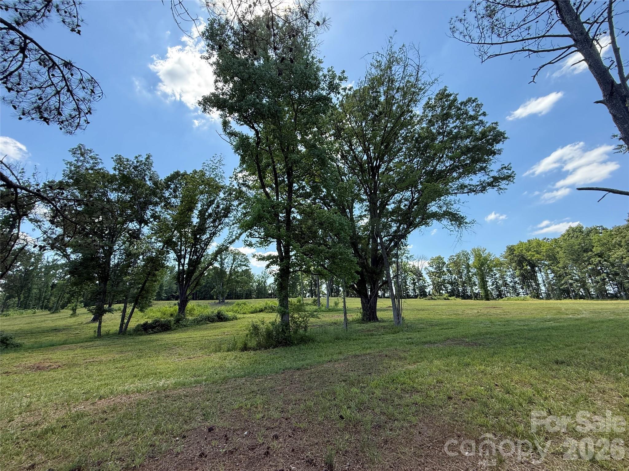 438 Able Road McConnells, SC 29726 - Photo 8 of 10 a view of a trees in a park