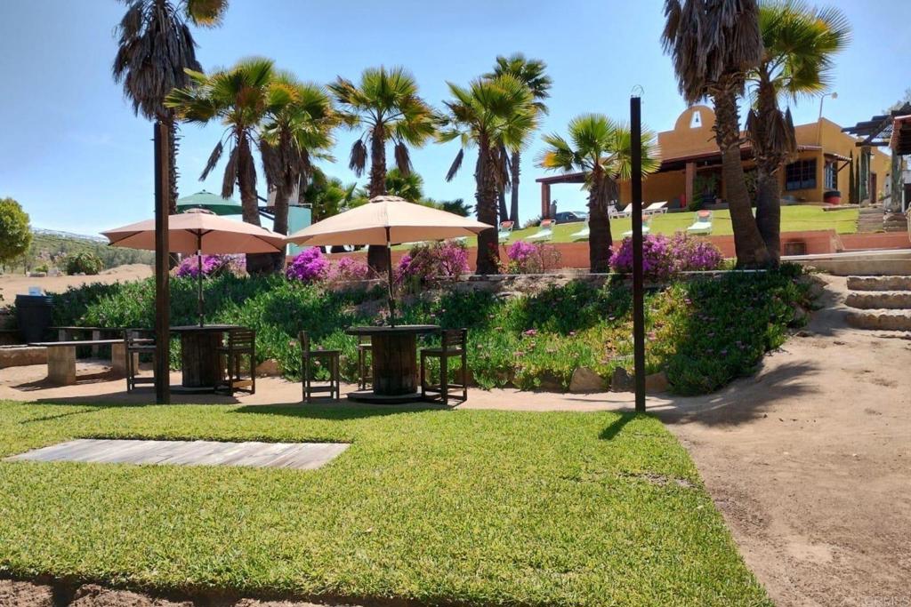 53 Tierra Santa Durham, OS 27707 - Photo 12 of 15 a view of swimming pool with a table and chairs under palm trees