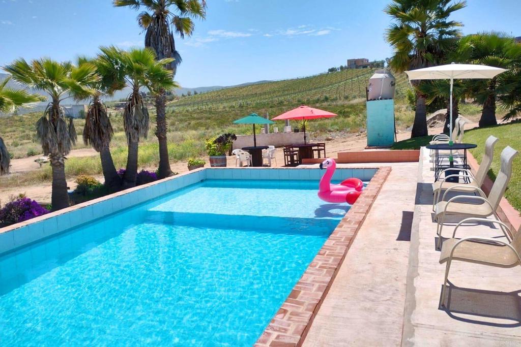 53 Tierra Santa Durham, OS 27707 - Photo 6 of 15 a view of swimming pool with sitting area