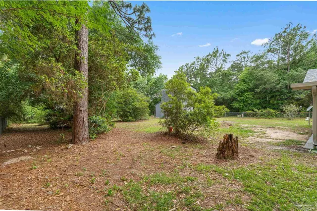 a view of a yard with a tree
