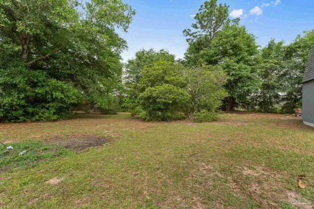 a view of a field with an trees