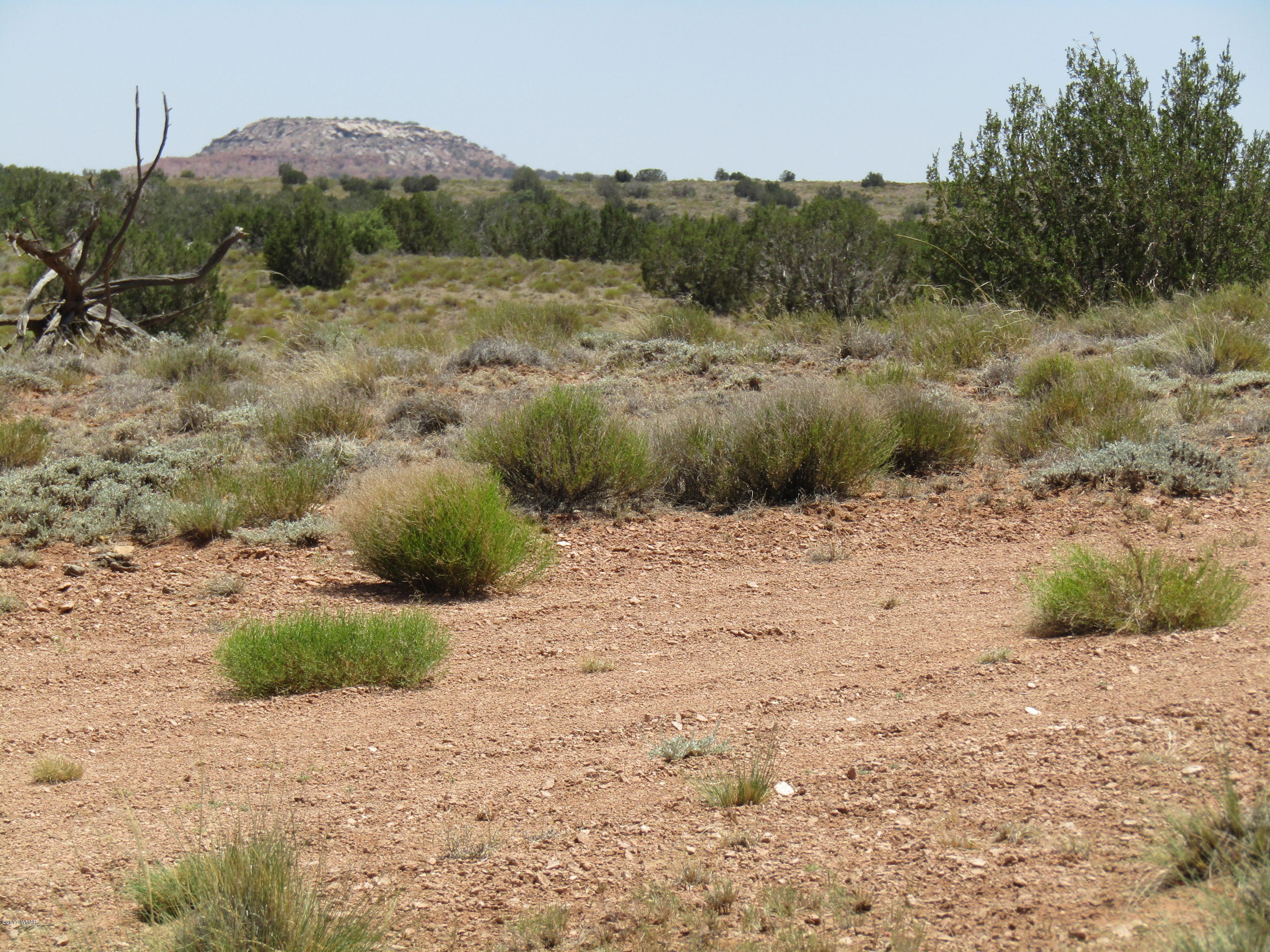 5187 Old Snowflake-Holbrook Road Snowflake, AZ 85937 - Photo 5 of 6 a view of a dry yard
