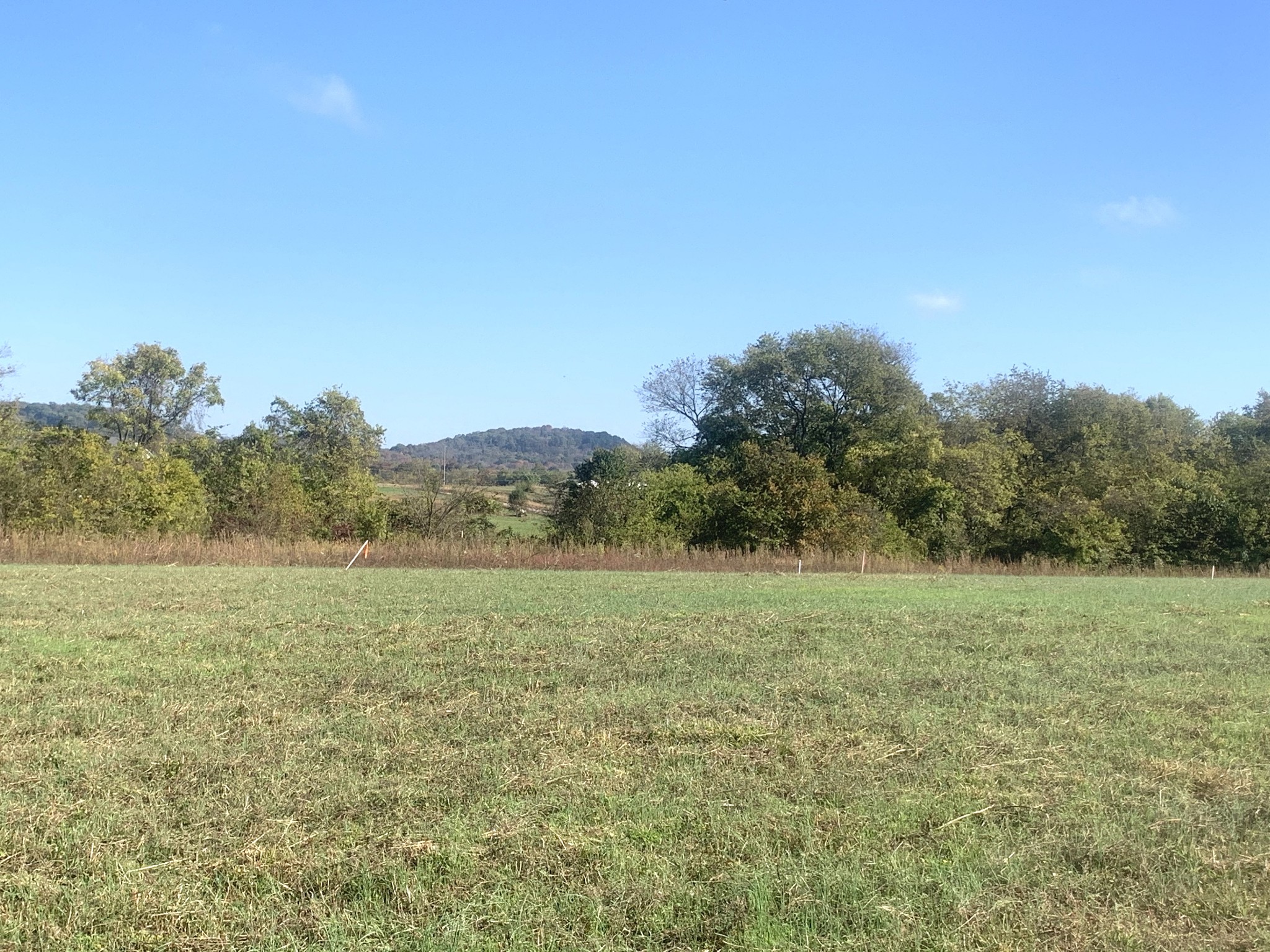 1390 Littleton Ranch Road Castalian Springs, TN 37031 - Photo 3 of 10 Gallery Image 3
