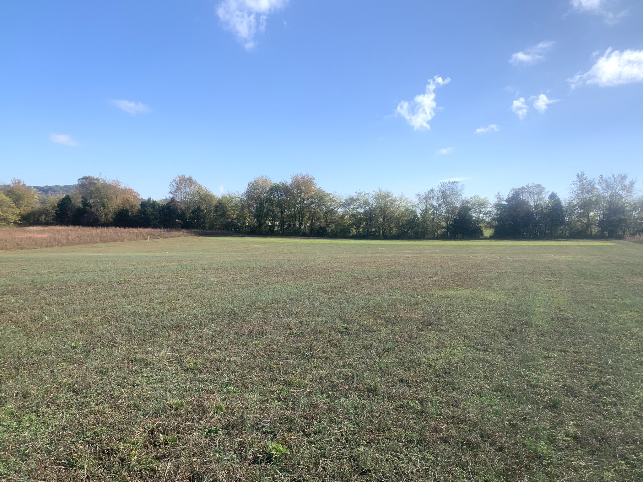 1390 Littleton Ranch Road Castalian Springs, TN 37031 - Photo 4 of 10 Gallery Image 4