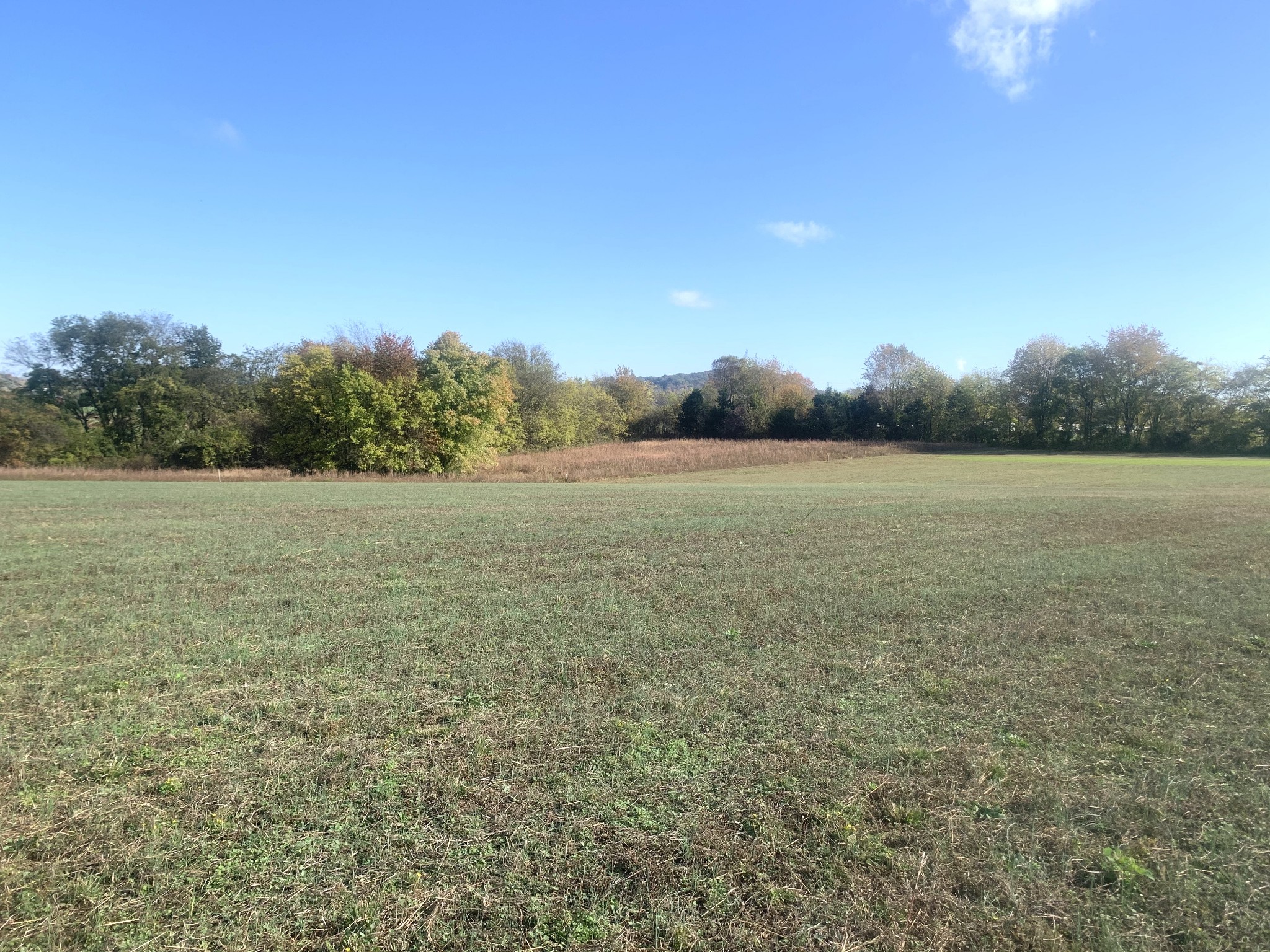 1390 Littleton Ranch Road Castalian Springs, TN 37031 - Photo 5 of 10 Gallery Image 5