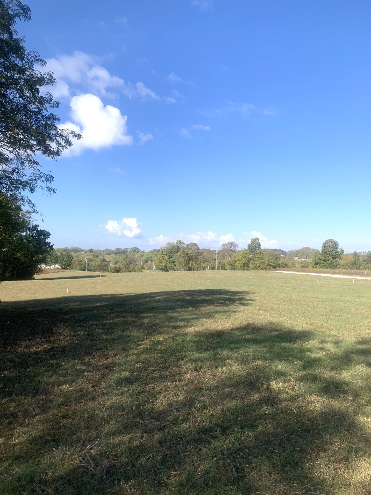 1390 Littleton Ranch Road Castalian Springs, TN 37031 - Photo 8 of 10 Gallery Image 8