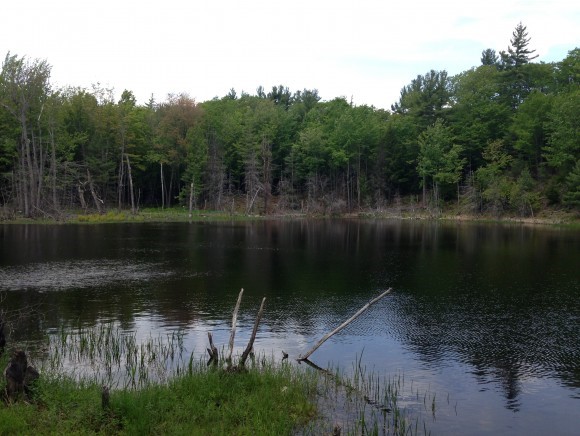 0 Chickville/brownell Road Center Ossipee, NH 03814 - Photo 6 of 6 Gallery Image 6