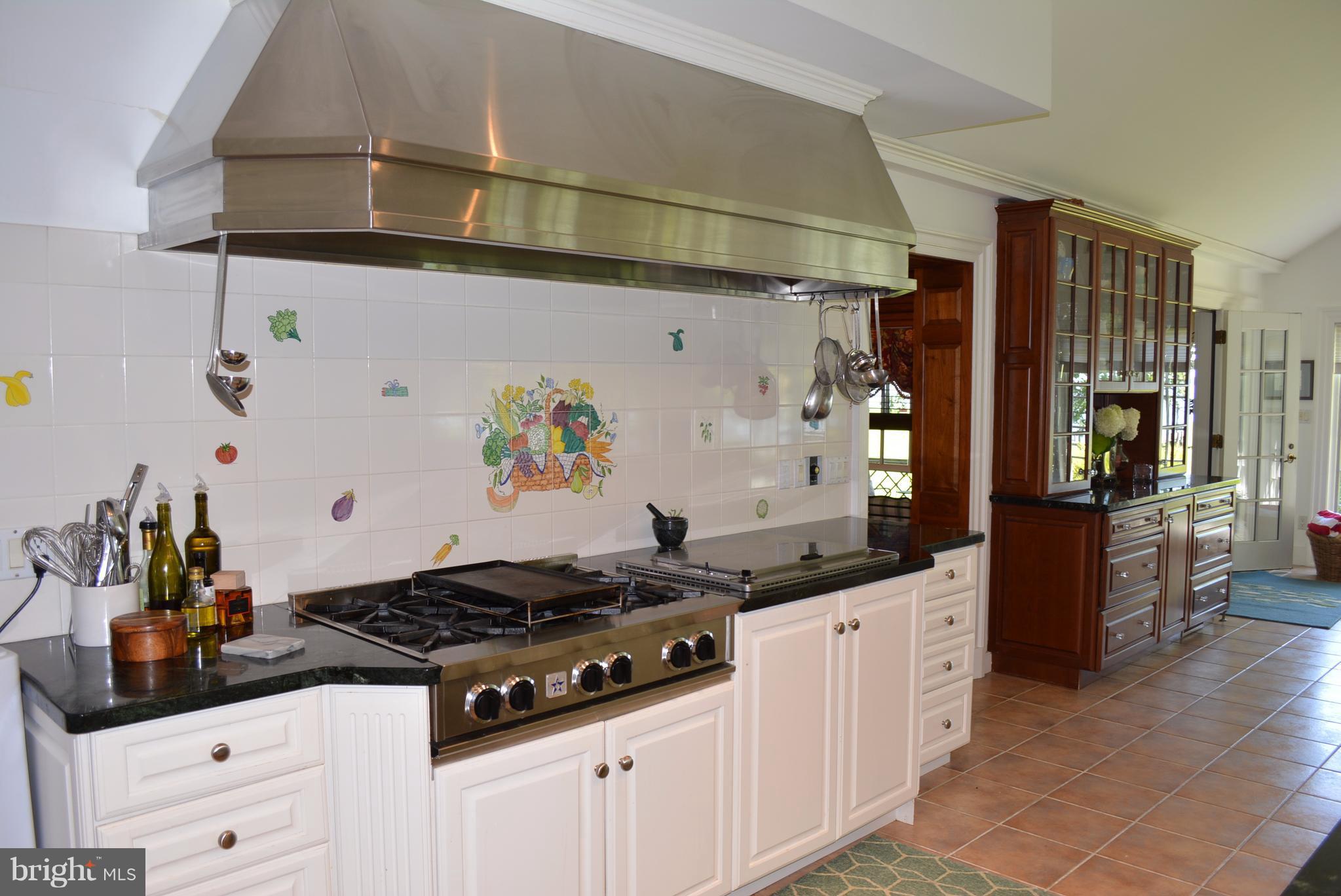 4746 Cliffs City Road Chestertown, MD 21620 - Photo 22 of 33 Kitchen