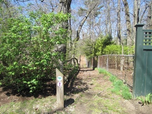 77 Cliff Road Wellesley, MA 02481 - Photo 28 of 29 a backyard of a house with lots of green space
