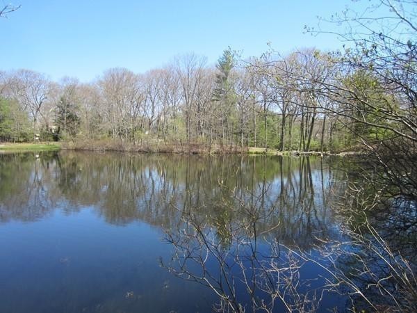 77 Cliff Road Wellesley, MA 02481 - Photo 29 of 29 a view of lake