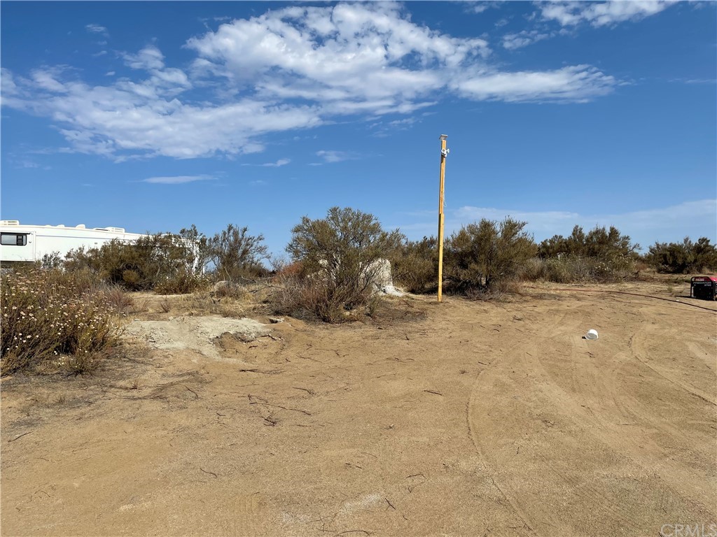 a view of a dry yard with trees