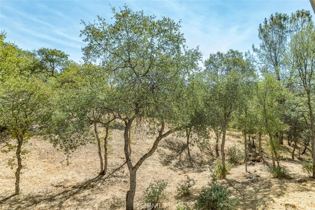 5060 Mykleoaks Road Mariposa, CA 95338 - Photo 63 of 63