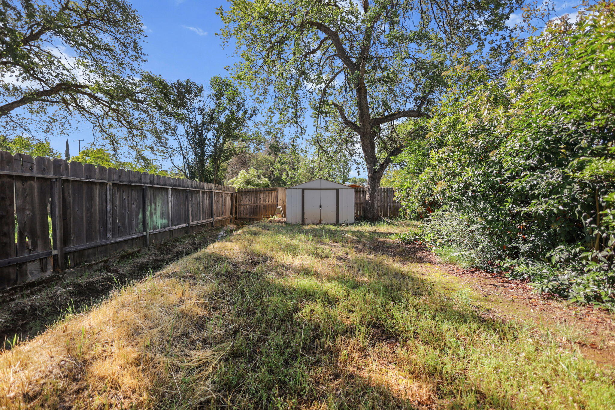 2631 Alfreda Way Redding, CA 96002 - Photo 15 of 16 a view of a backyard with large trees and wooden fence