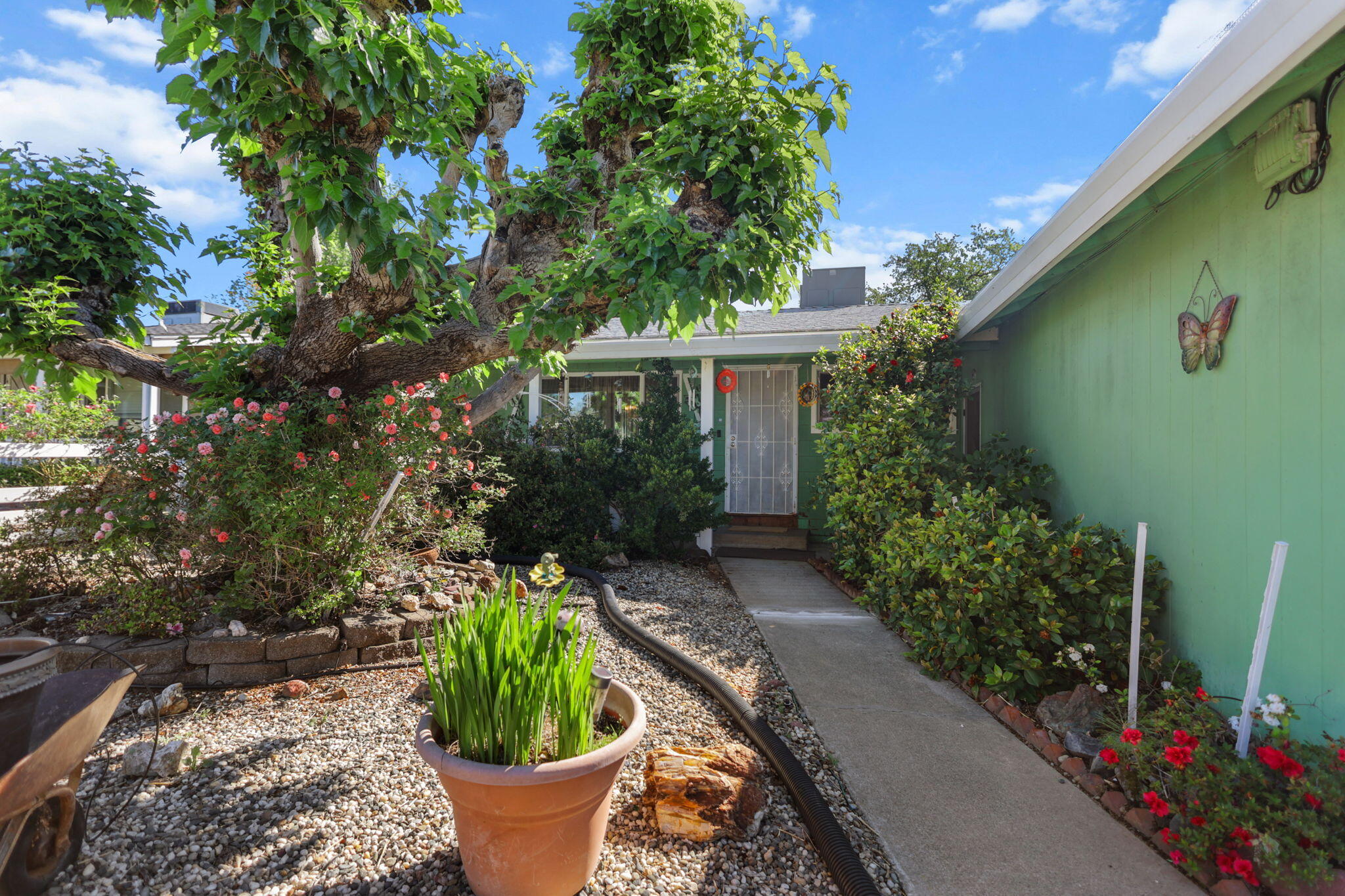 2631 Alfreda Way Redding, CA 96002 - Photo 2 of 16 a view of a house with potted plants