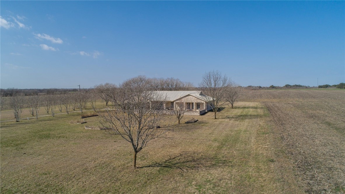 a view of a dry yard with wooden fence