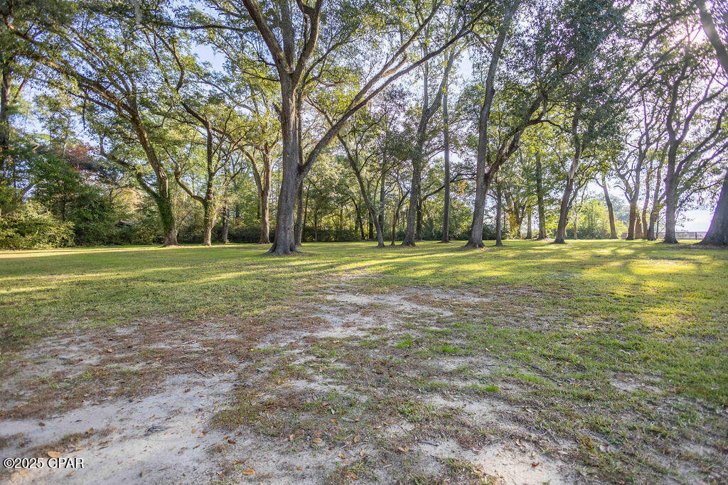 912 Highway 277 Chipley, FL 32428 - Photo 95 of 96