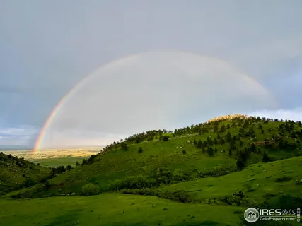 a view of a bunch of trees in a field