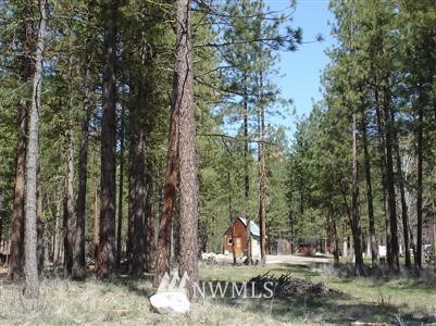 4 Windy Ridge Road Twisp, WA 98856 - Photo 1 of 1 Gallery Image 1