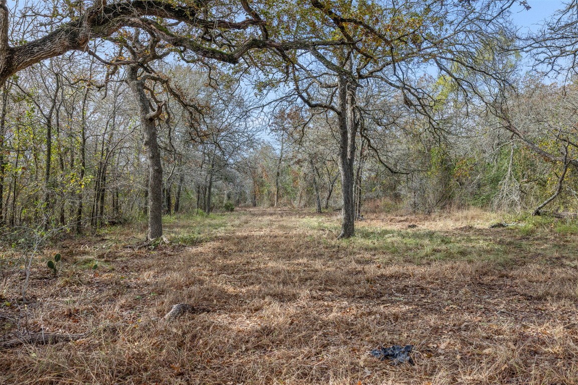 800 Bugtussle Lane Luling, TX 78648 - Photo 5 of 10