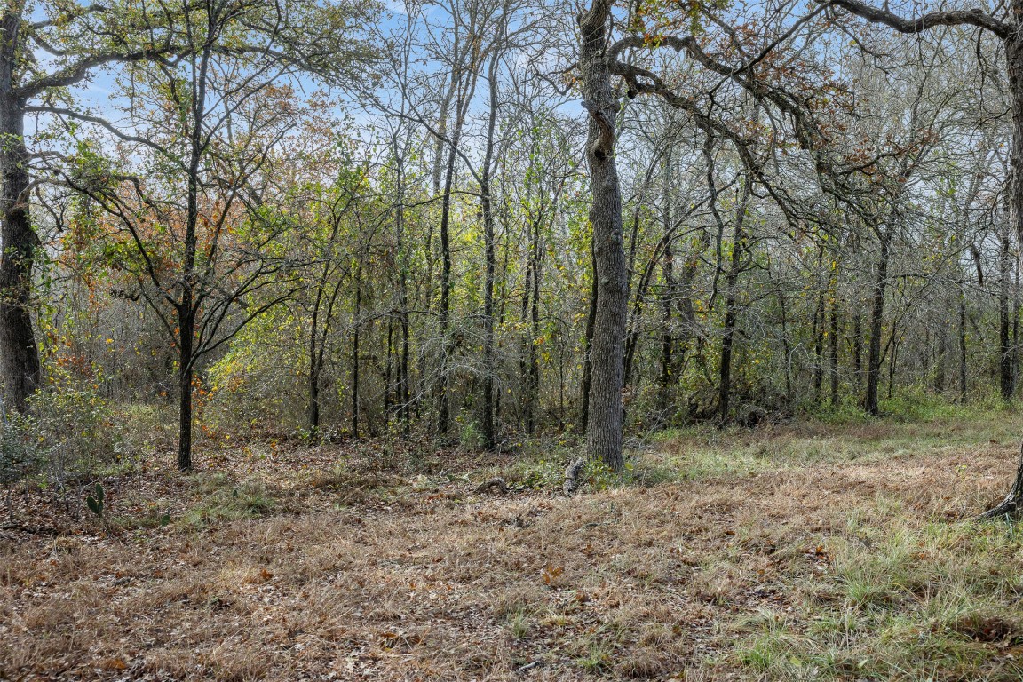 800 Bugtussle Lane Luling, TX 78648 - Photo 6 of 10