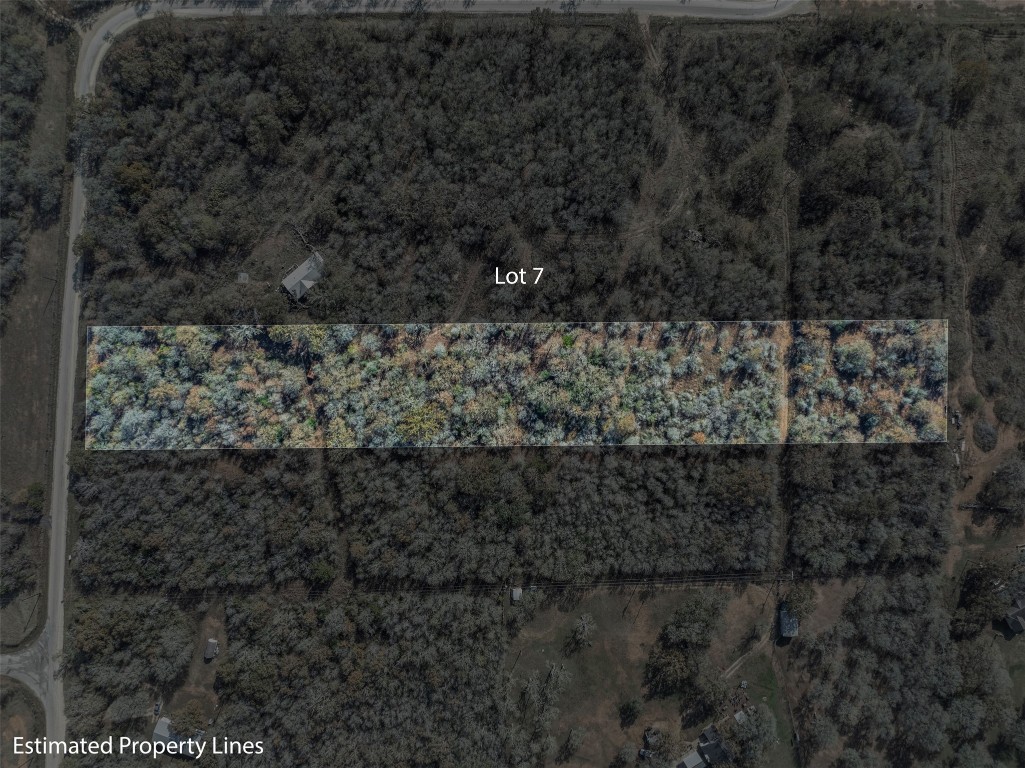 800 Bugtussle Lane Luling, TX 78648 - Photo 10 of 10 Aerial view of property's location