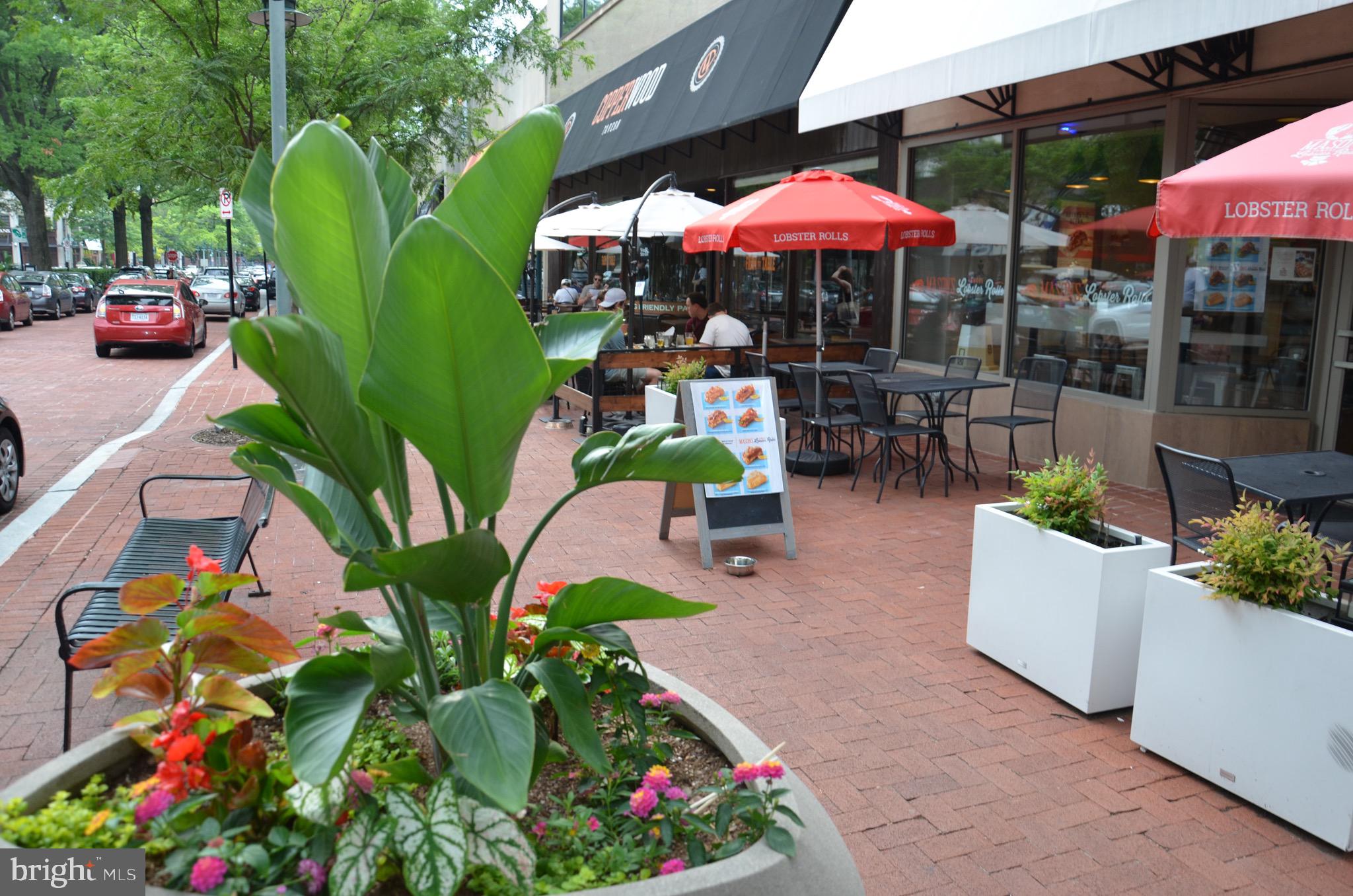 2713 24th Road South, Unit A & B Arlington, VA 22206 - Photo 62 of 64