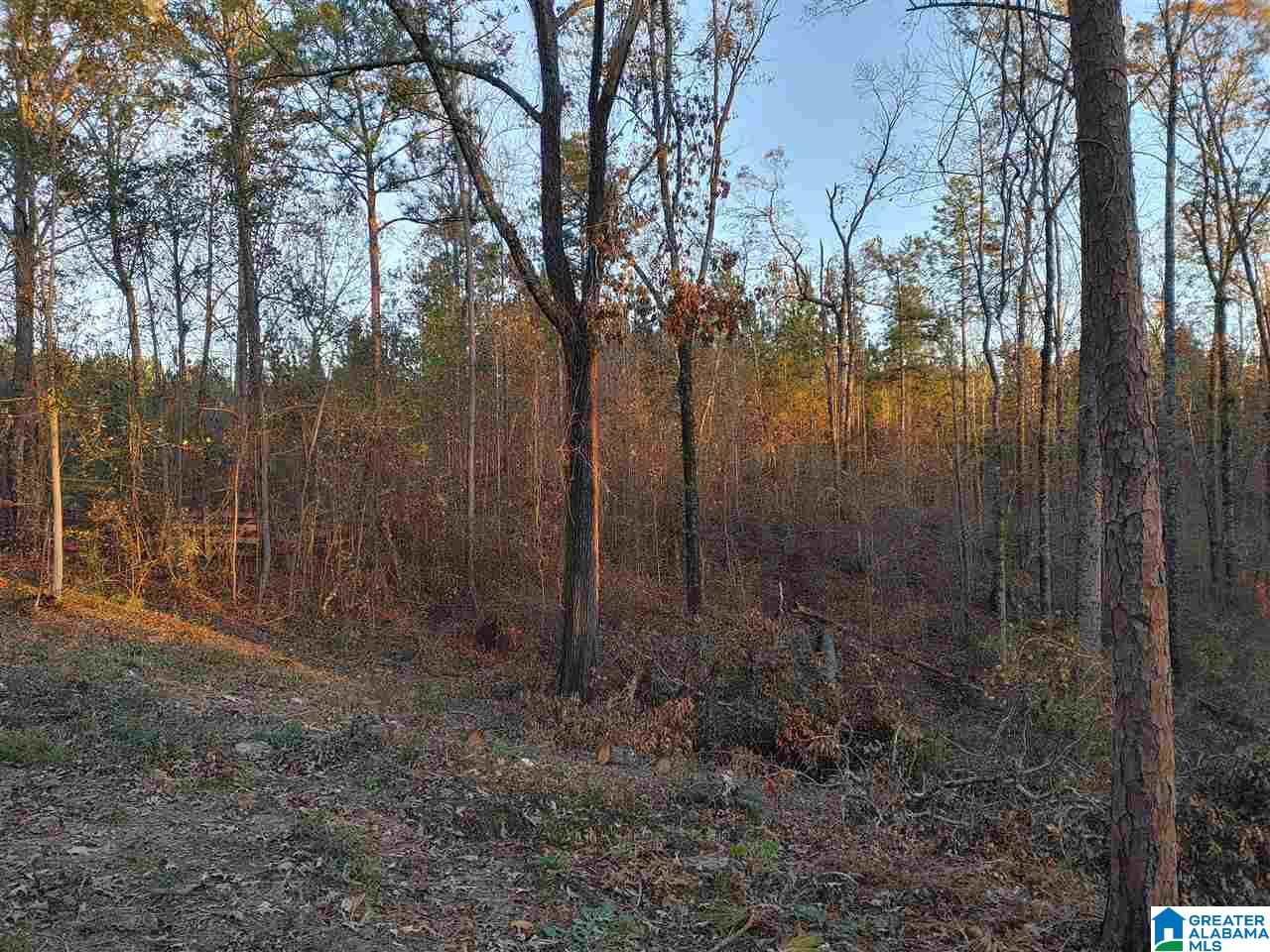 1979 East Marble Valley Road Sylacauga, AL 35151 - Photo 7 of 9 Gallery Image 7