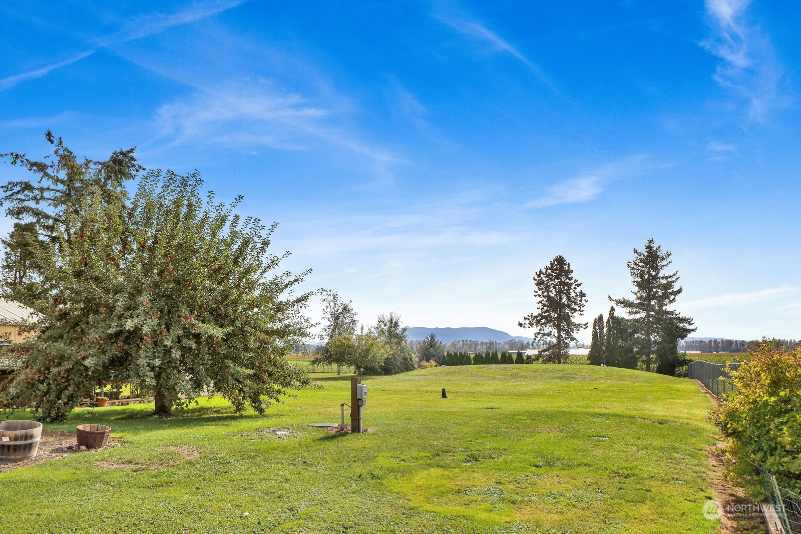 2295 Timon Road Everson, WA 98247 - Photo 22 of 31