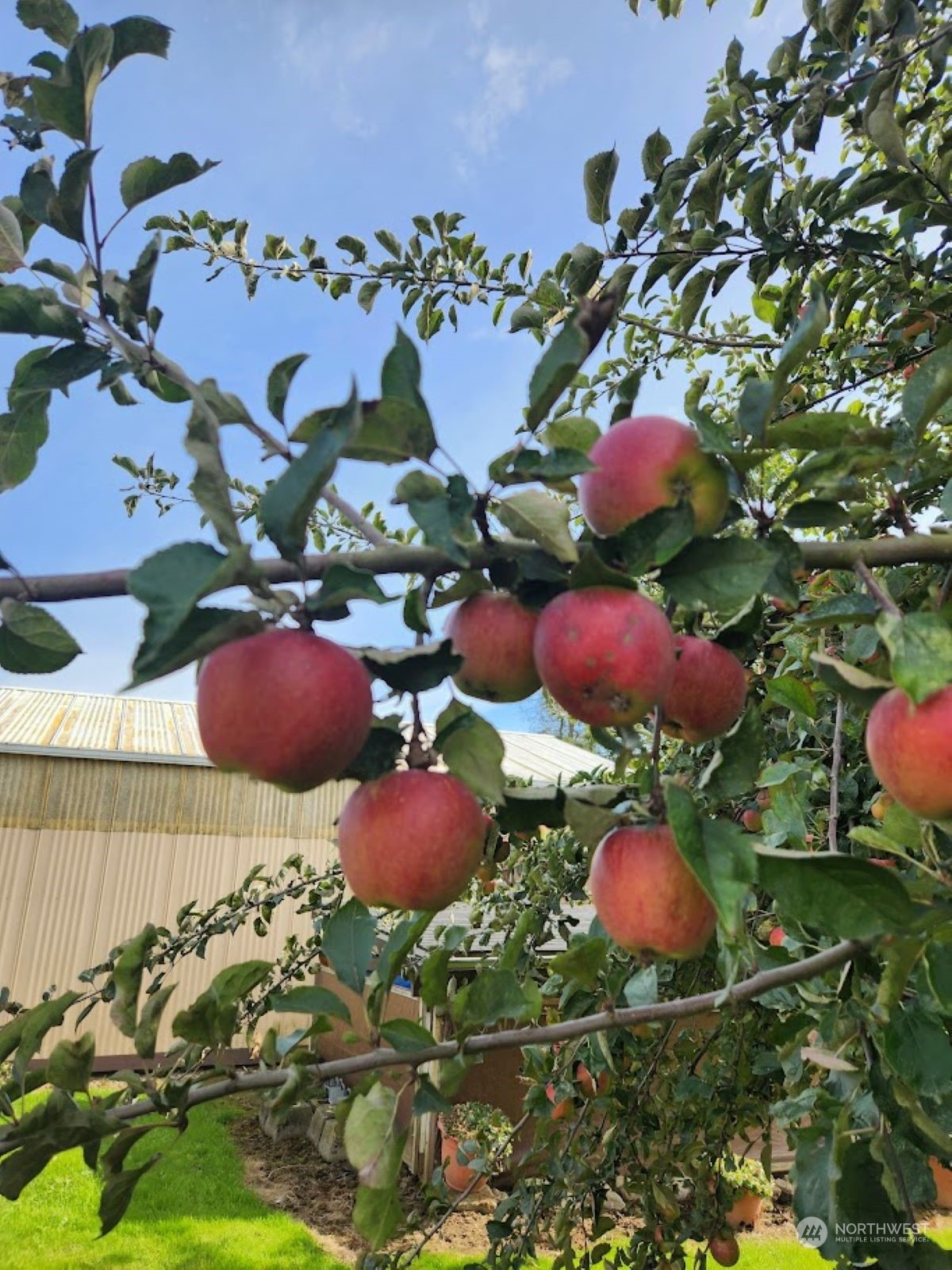 2295 Timon Road Everson, WA 98247 - Photo 24 of 31