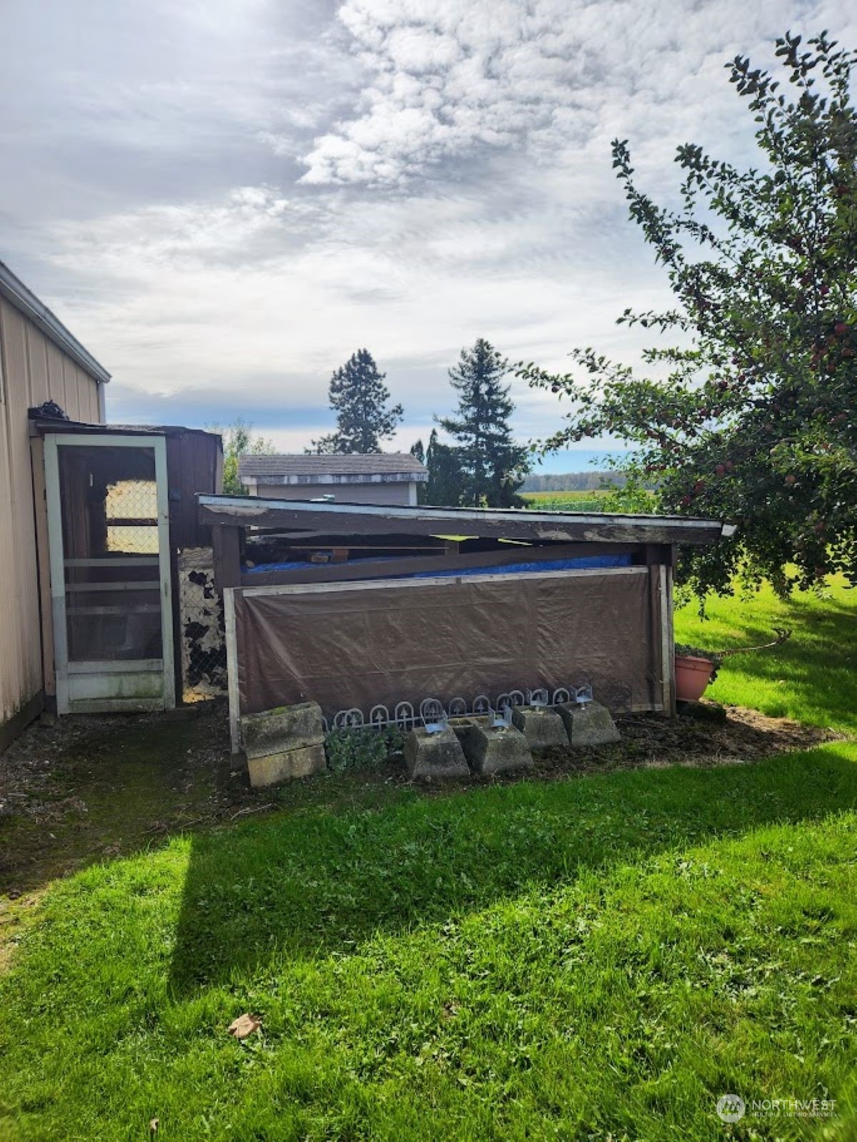 2295 Timon Road Everson, WA 98247 - Photo 25 of 31