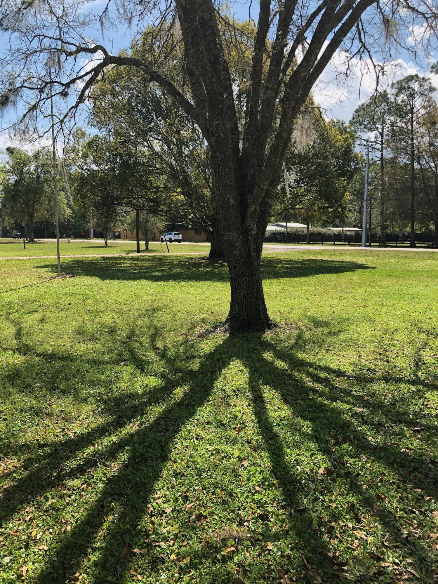 3210 Pacetti Road St. Augustine, FL 32092 - Photo 6 of 17 a view of a trees with a yard