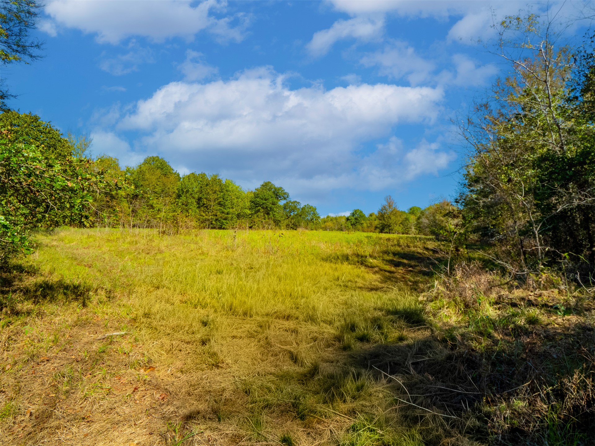 1599 North 4010 Road Boswell, OK 74727 - Photo 15 of 57 Expansive open field bordered by mature trees