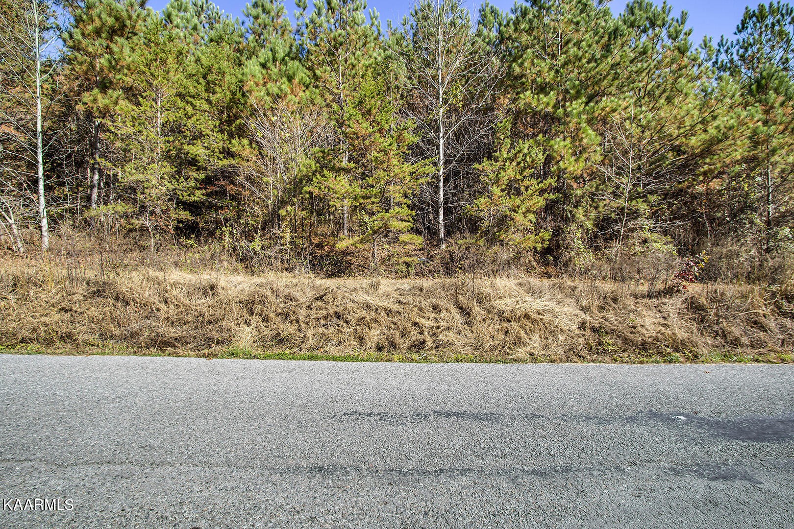 14531457 Sloans Gap Road Ocoee, TN 37361 - Photo 3 of 50