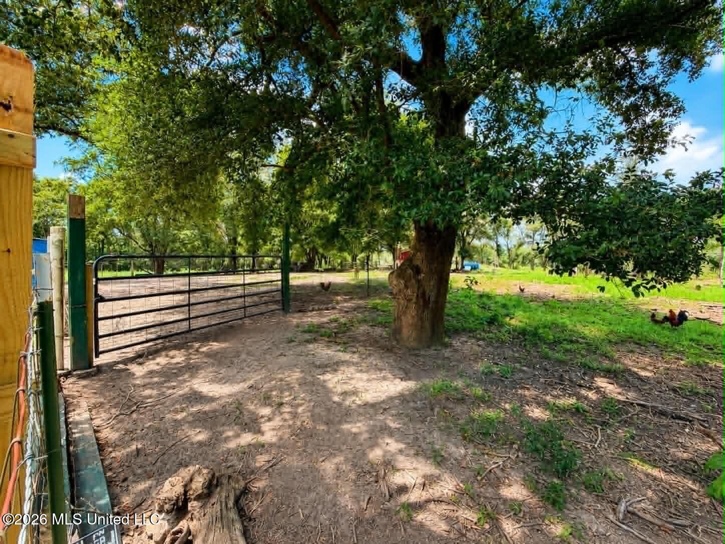 2125 Fig Farm Road Lucedale, MS 39452 - Photo 47 of 71 Acreage