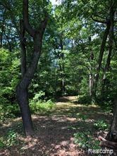 Lot 21 Deer Ridge Trail Howell, MI 48843 - Photo 15 of 17