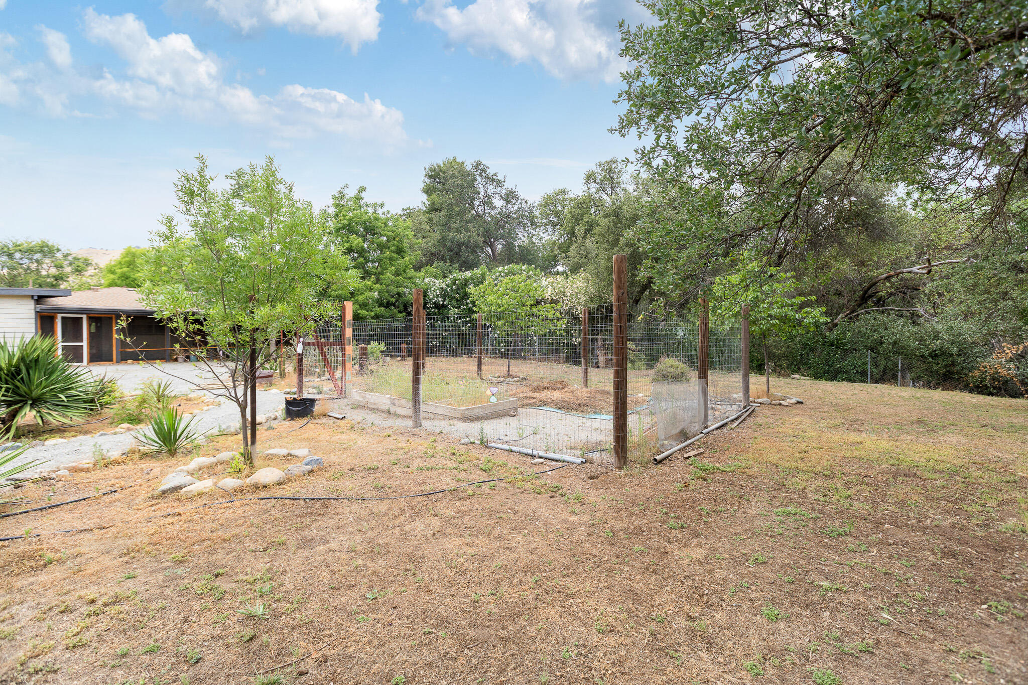 40826 Grouse Drive Three Rivers, CA 93271 - Photo 61 of 75 57 Backyard